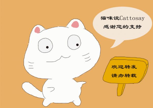 过早离开猫妈妈,会带给幼猫的影响,铲屎官需更耐心