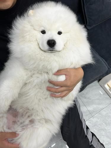 不会还有人没生耶耶吧