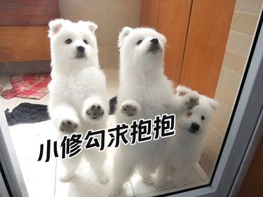 小修勾来喽❗争当健康守护者❗