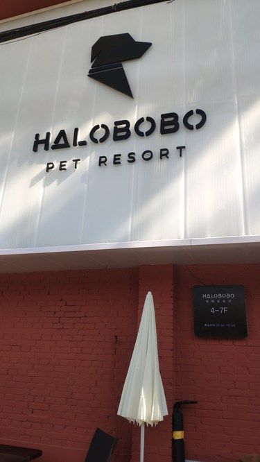 毛孩子也可以入住五星酒店了