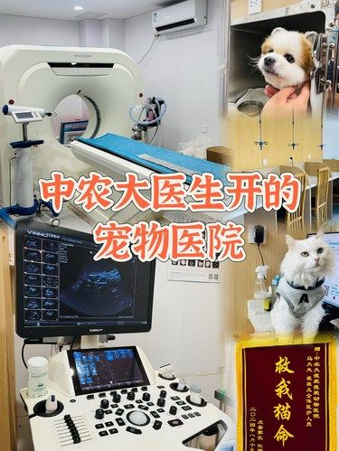 中农大！真正专业的24小时宠物医保定点医院！