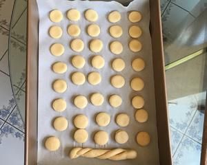 狗狗小零食的做法 步骤5
