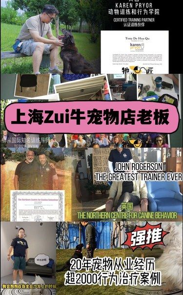 宝藏店 上海Zui牛宠物店老板 看过来