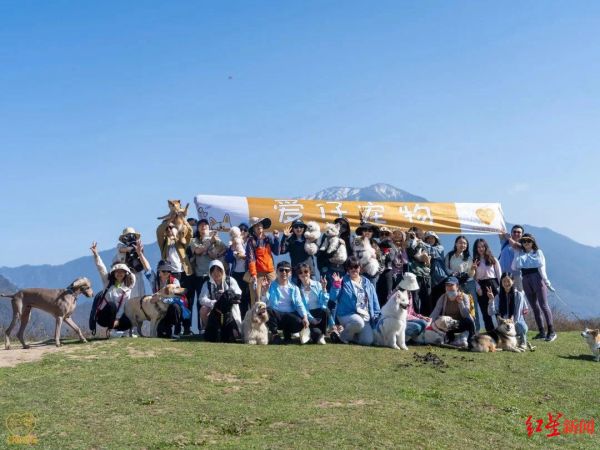 ▲带着宠物一起去旅游