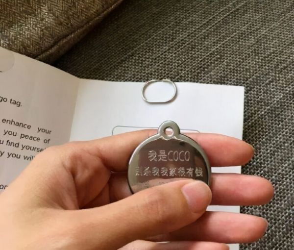 新手收藏！养狗必备物品清单，集齐这些再去接狗狗回家哦 