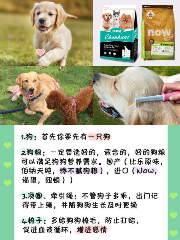 养狗必买清单,13 种物品,你准备好了吗?