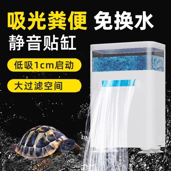 养龟必备物品清单合集：有这些物品基本够用了！