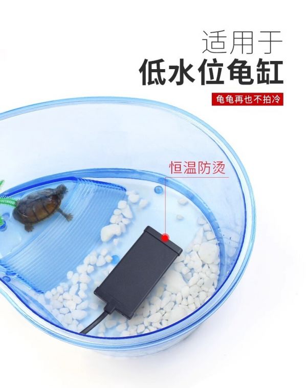养龟必备物品清单一:龟缸加温器、红霉素软膏和碘伏