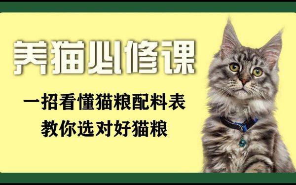 养猫必买的物品清单，其他的东西就靠边站了！
