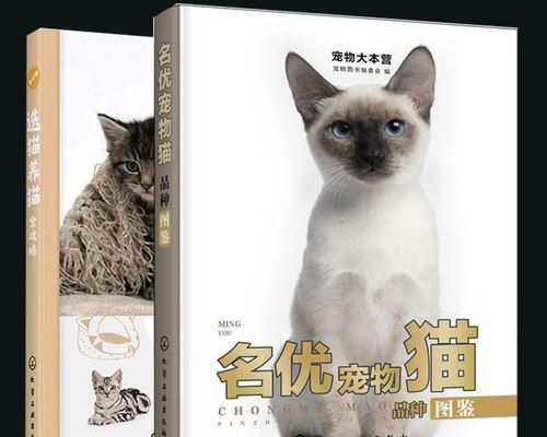 如何准确地鉴定猫咪品种？（猫咪鉴定专家教你如何辨别猫咪品种，让你的宠物更加特殊）
