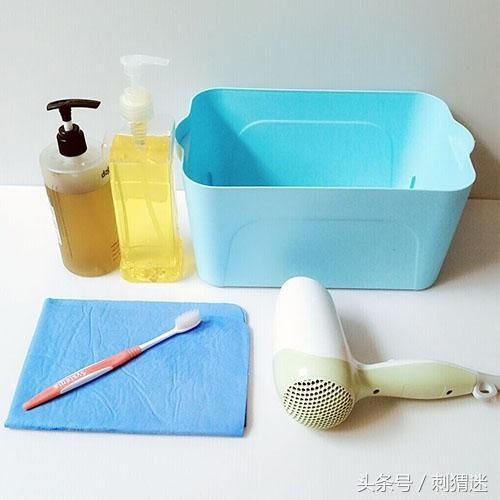 想养宠物刺猬？先准备好这些再说
