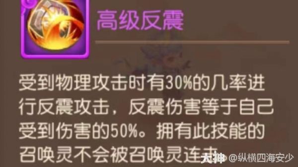 周年庆·特别篇】大海龟应用指南_梦幻西游手游 | 大神
