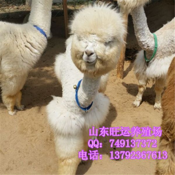 6FD6E5AFA4FB7BFAB6E70512A2E94D