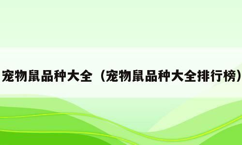宠物鼠品种大全（宠物鼠品种大全排行榜）