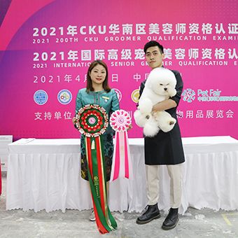 深圳宠物美容BC连读综合进阶班