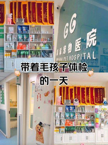 带着毛孩子体检的一天。团购实惠
