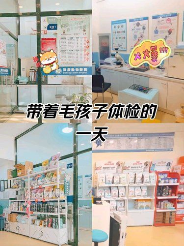 为每一只宠物带来了健康和希望。团购实惠