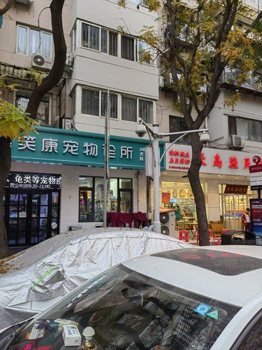 二十四小时的宠物医院，团购一块钱剪指甲