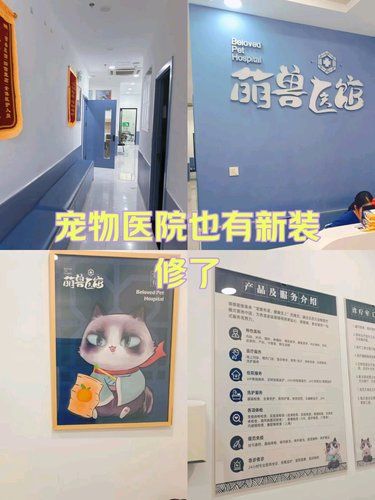 提高宠物主人的养护意识。免费试听课