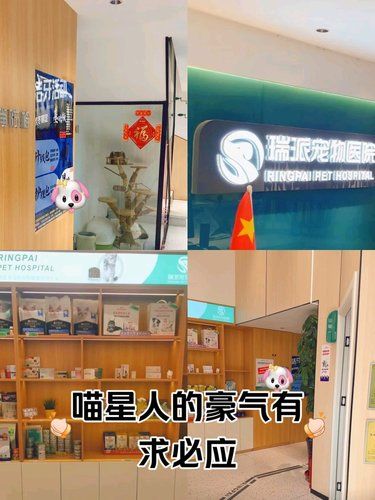 宠物们的健康守护者。团购实惠
