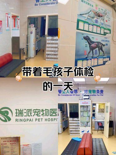 学习最新的医疗技术和治疗方法。团购实惠