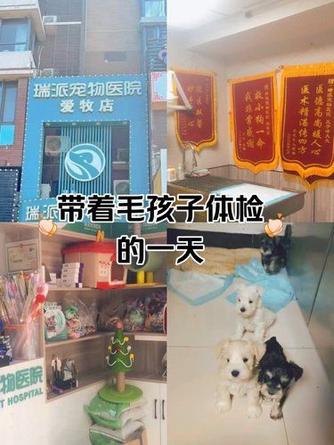 让宠物保持整洁和美观。团购实惠