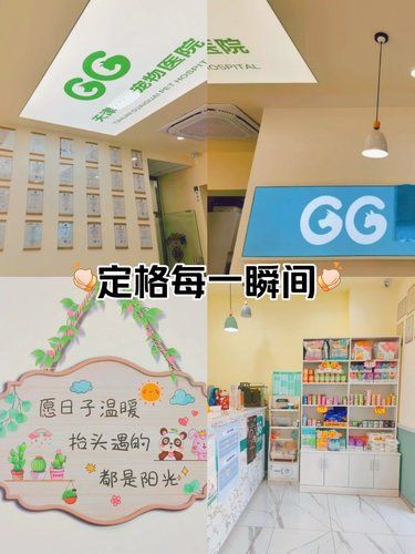 宠物医院提供24小时在线咨询服务，团购实惠