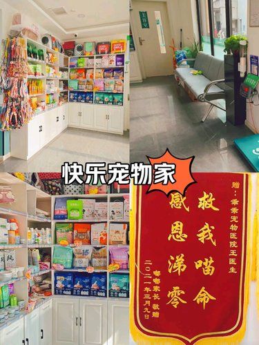 宠物美容专家来啦。团购实惠