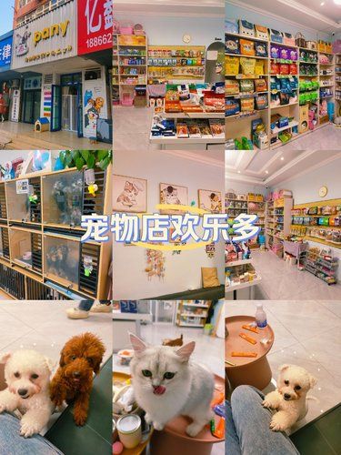 宠物店欢乐多