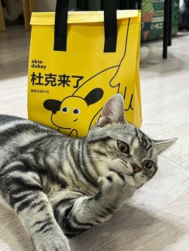 钱包捂不住了！宠物鲜食杜克来了～