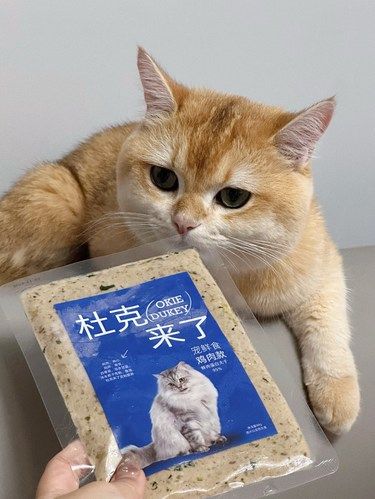 自从有了宠物鲜食包，懒癌喵妈省心又省力！
