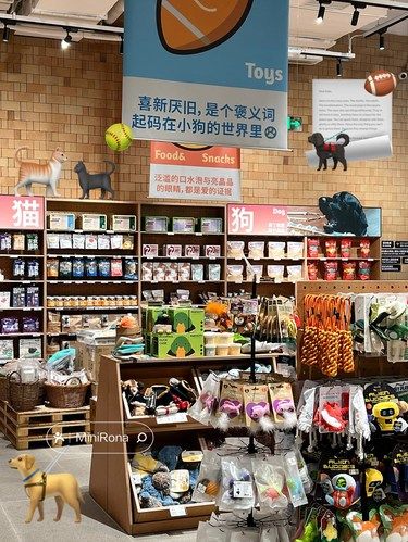 深圳｜小狗每天都想来的宠物超市好吃好玩！！