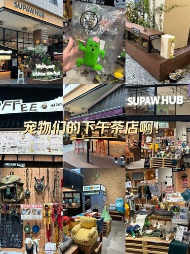 快带宠物们来下午茶！有狗狗们可以吃的小吃甜品