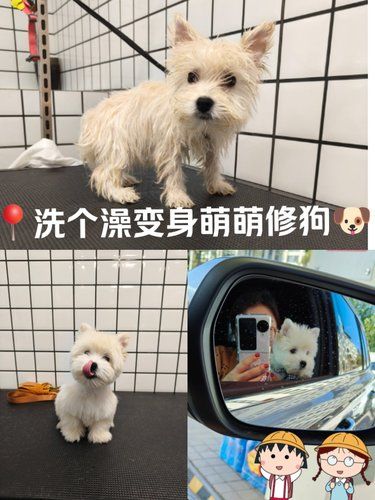 今天我妈给我花钱了