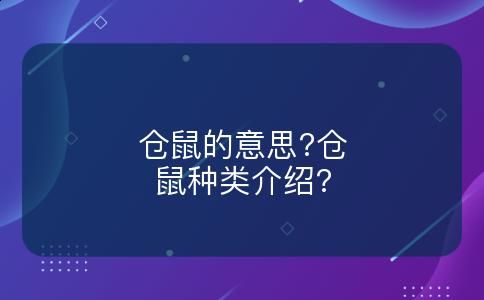 仓鼠的意思?仓鼠种类介绍?