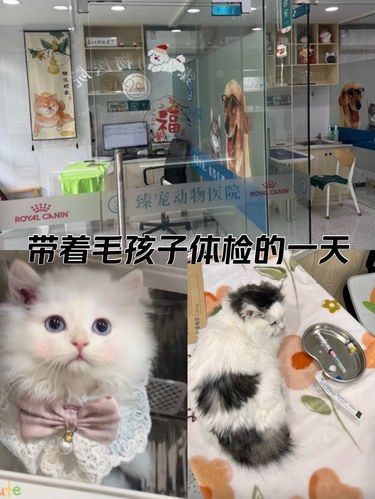 医术超赞 医心更美~