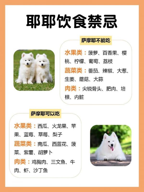 萨摩耶狗名,萨摩耶狗名字