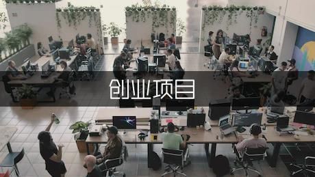 适合宠物市场的小本创业项目