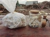 天津河北狗狗善后服务-天津宠物火化电话