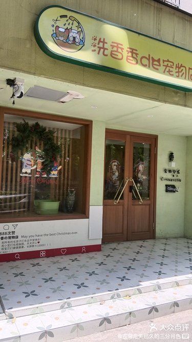 一家超有爱的宠物洗护店 橱窗里的猫猫好诱人 