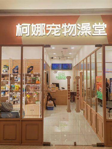 环境超赞ins风宠物店｜南京宠物澡堂也要这么卷了吗？！