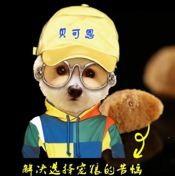 如何给狗狗正确的注射疫苗