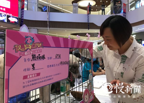 屏幕快照 2019-04-13 下午9.08.50.png