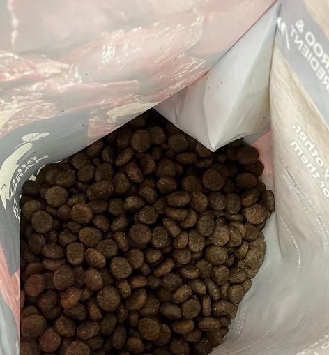 让宠物不臭的狗粮选择指南（以吃什么狗粮便不臭）