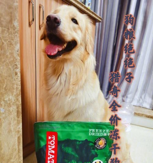 狗粮好不好？宠之鲜狗粮让你放心！（以宠物为主，给爱犬选择的食物）
