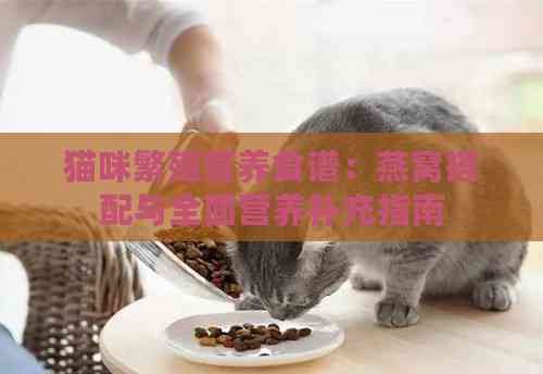 猫咪繁殖营养食谱：燕窝搭配与全面营养补充指南