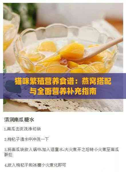 猫咪繁殖营养食谱：燕窝搭配与全面营养补充指南