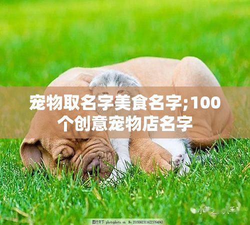 宠物取名字美食名字;100个创意宠物店名字