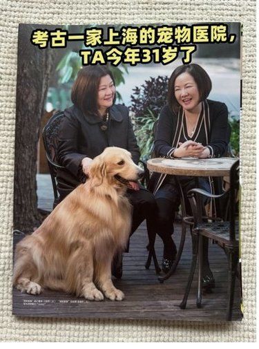 “考古”一家上海的宠物医院TA今年31岁了‼