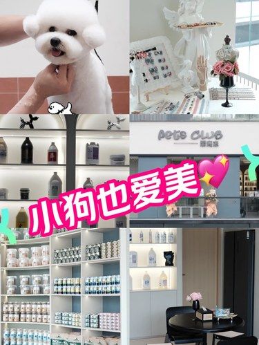 慈溪养小puppy的看过来哦～～～～